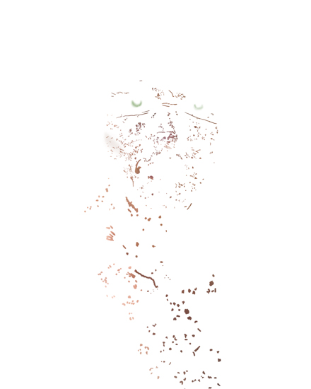 Orphans 04. From the Orphans Series of Photographs by Dylan Strickland. Beauty photography with original photograph removed, leaving only edits.